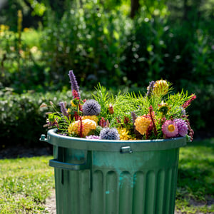 bloemen hoftuin-3-2